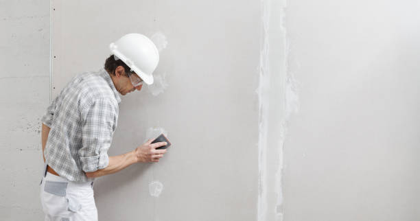 Best Basement Mold Removal  in Othello, WA